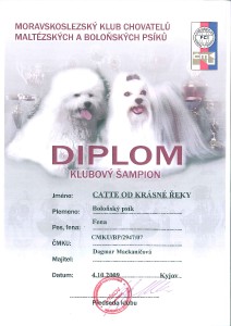 dipl.klub.sampion.jpg